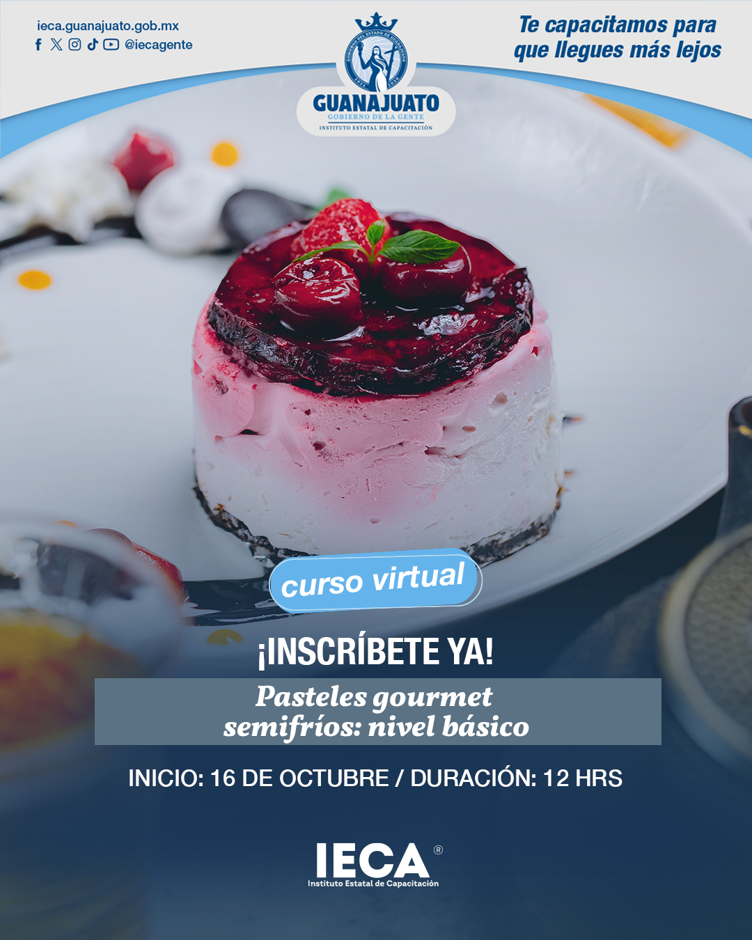 Pasteles Gourmet Semifríos: Nivel Básico