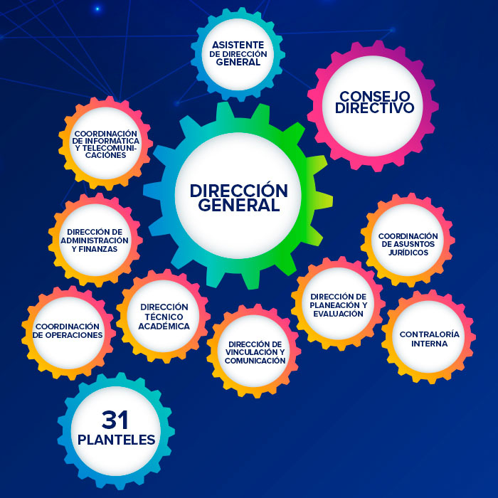 organigrama700x700
