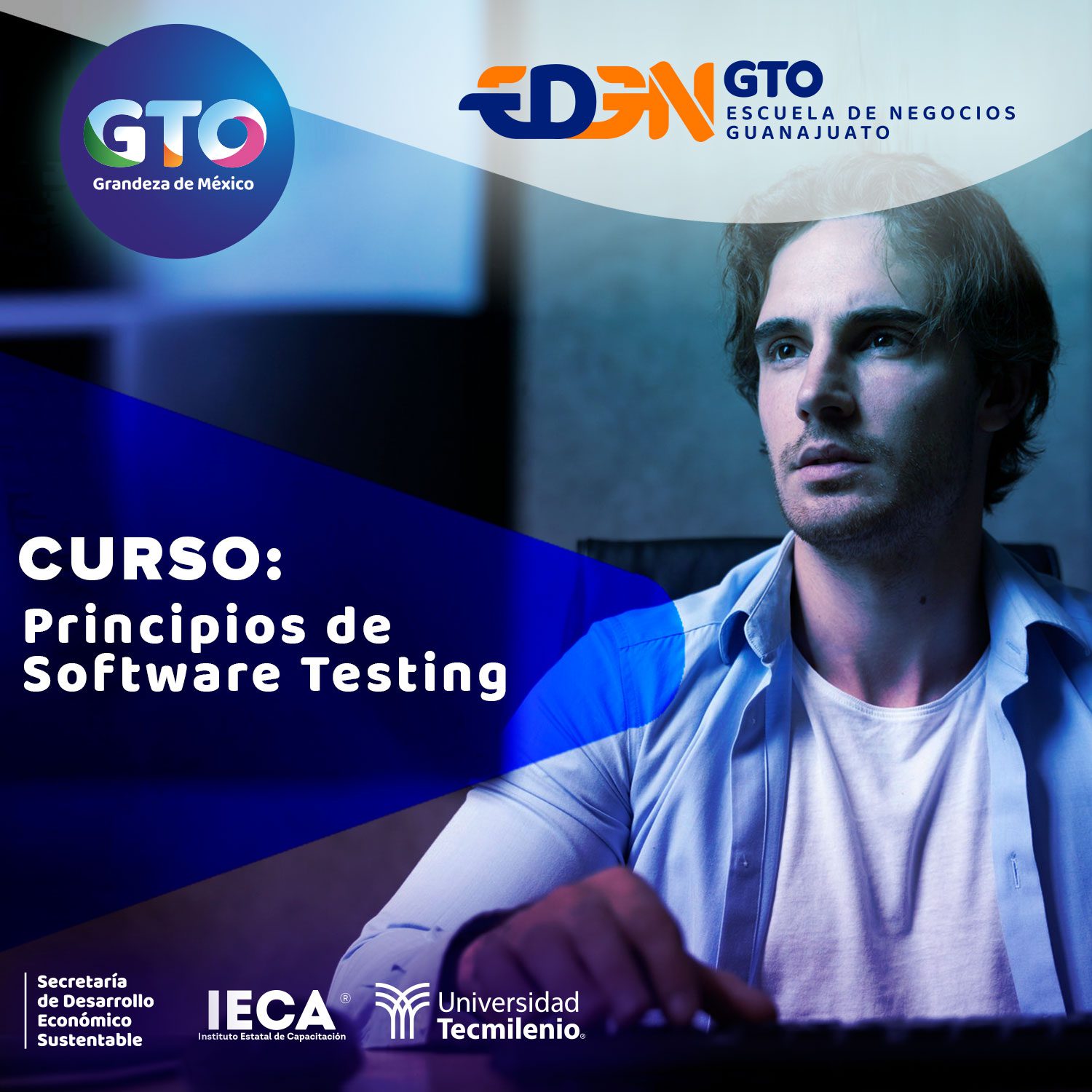 principios-de-software-testing