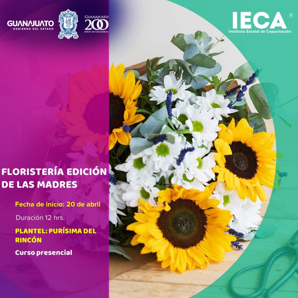 IECA Plantel Purísima